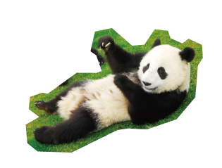 Panda Bamboo Project | 岸和田市